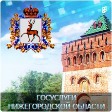 Портал государственных и муниципальных услуг Нижегородской области (1)